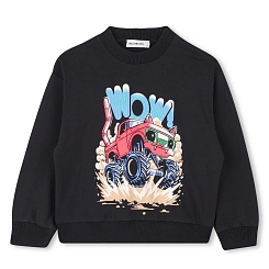 Толстовка U21175